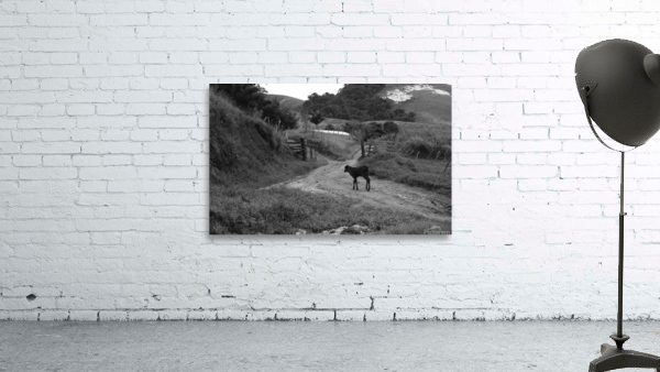 In the way Wall Preview