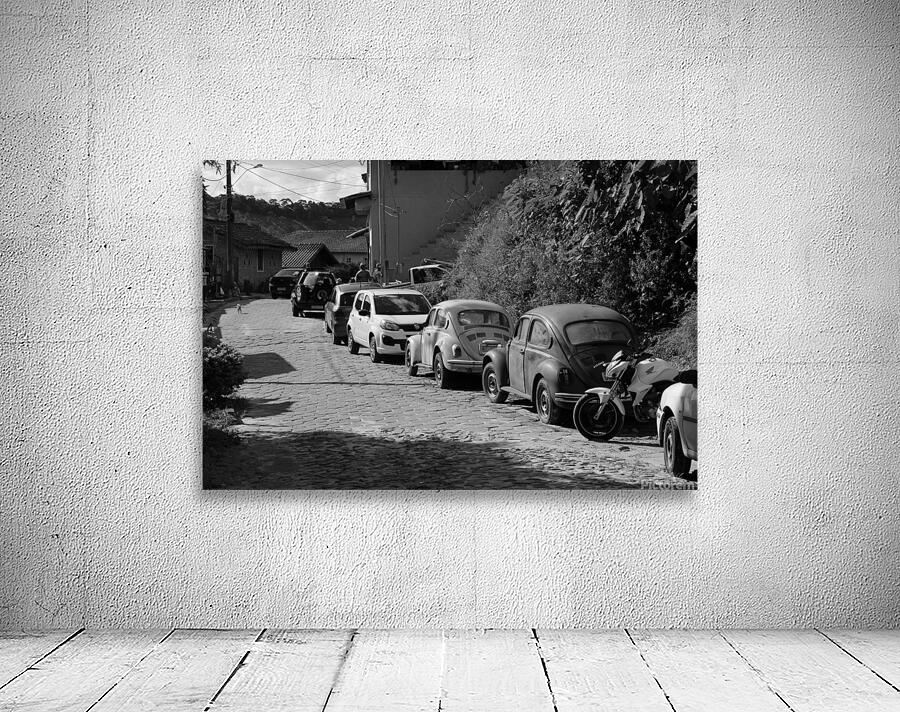 Fuscas Wall Preview
