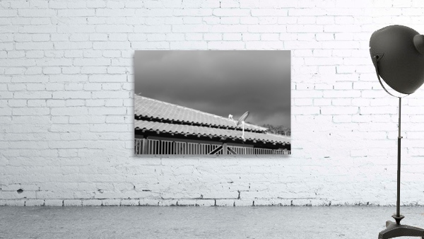 Sky Wall Preview