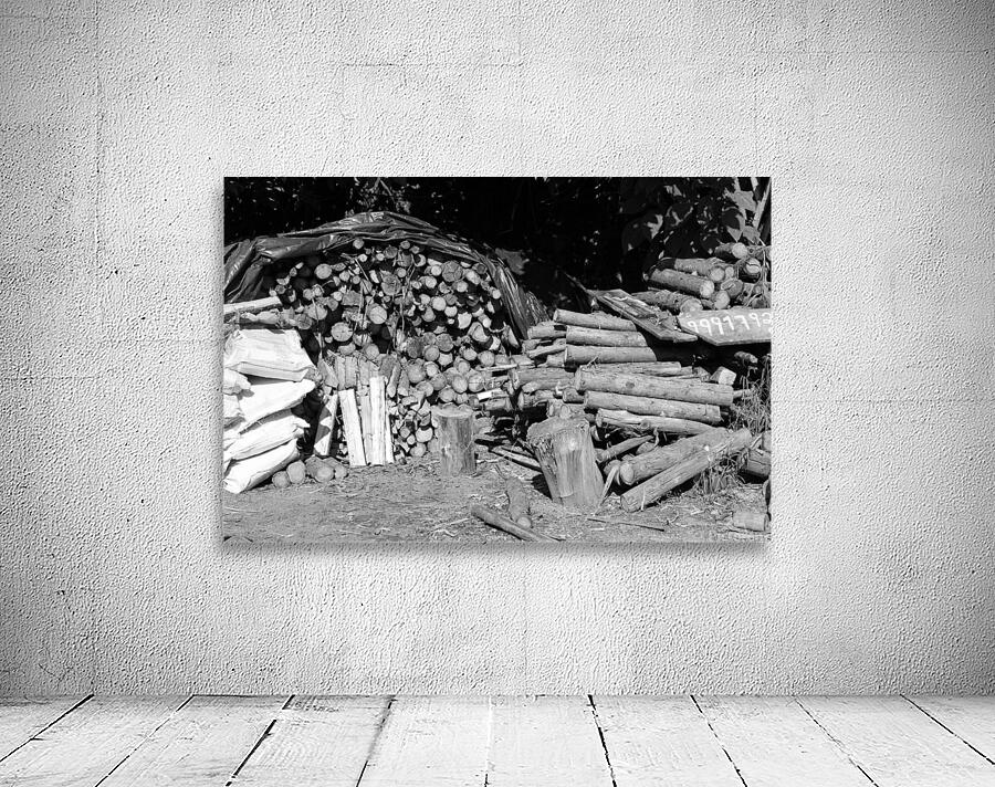 Woods Wall Preview