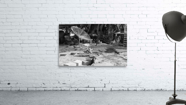 Backyard in Brazil  Wall Preview