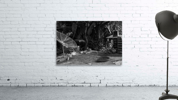 Backyard Wall Preview