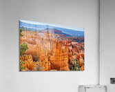 Bryce Canyon [2] Acrylic Print
