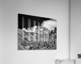 On Mt Hood Looking Up Acrylic Print