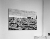Driftwood Pileup Acrylic Print