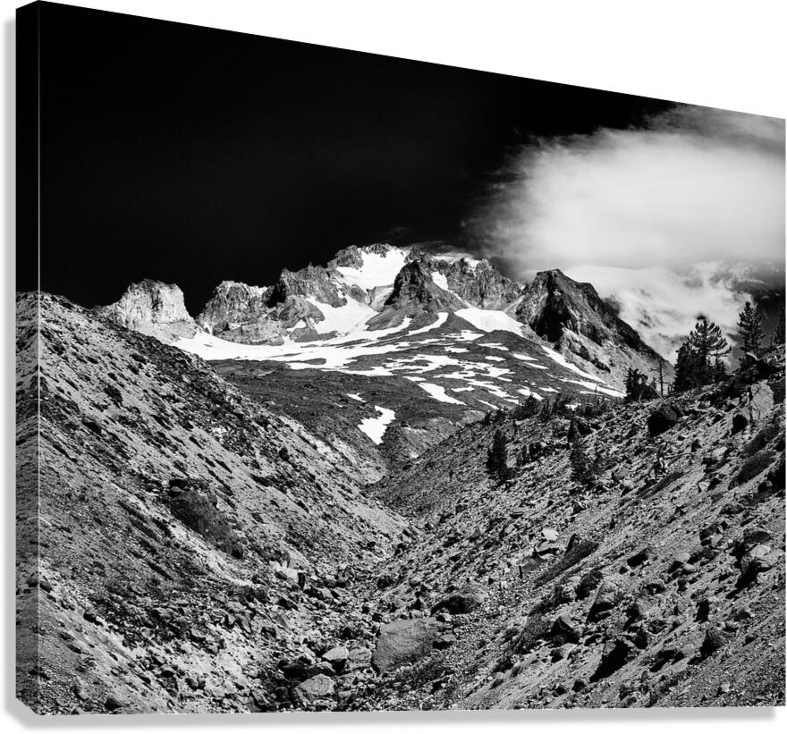 On Mt Hood Looking Up Canvas Print