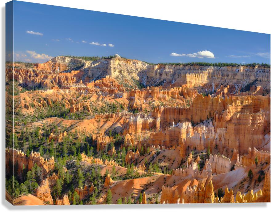 Bryce Canyon [1] Canvas Print