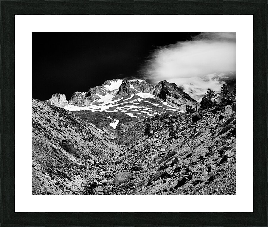 On Mt Hood Looking Up Picture Frame print