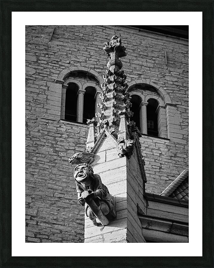 Visby Gargoyle Picture Frame print