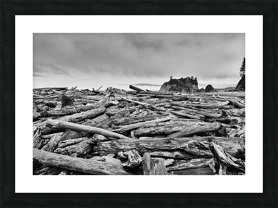 Driftwood Pileup Picture Frame print