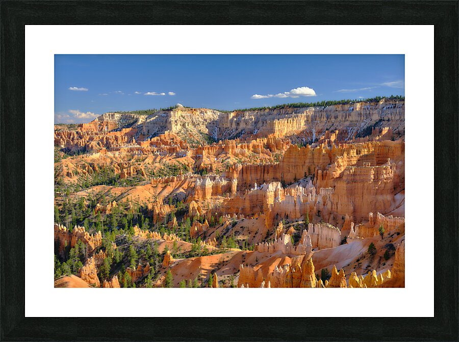 Bryce Canyon [1] Picture Frame print