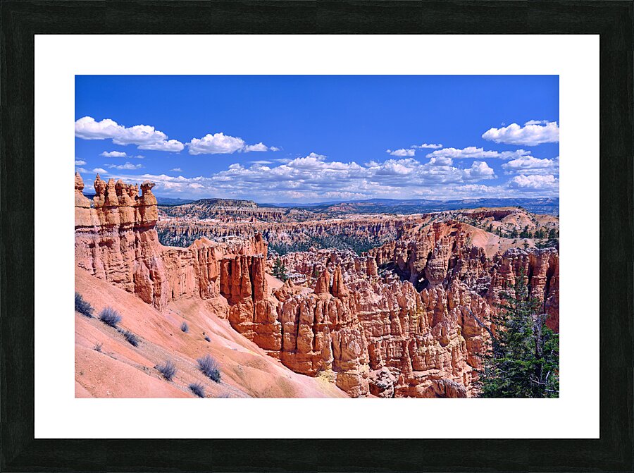 Bryce Canyon [3] Picture Frame print