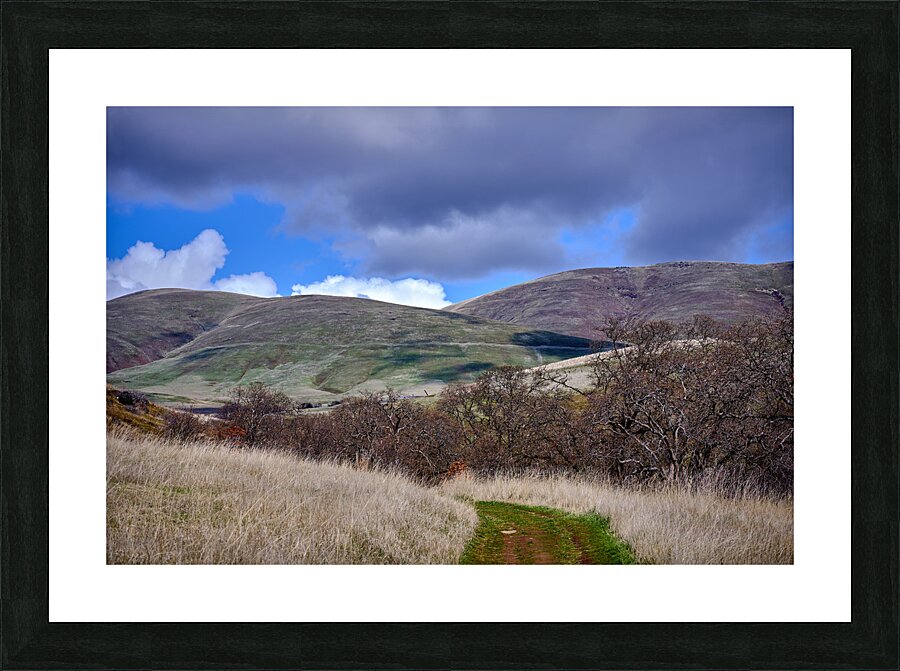 Ranchland [1] Picture Frame print