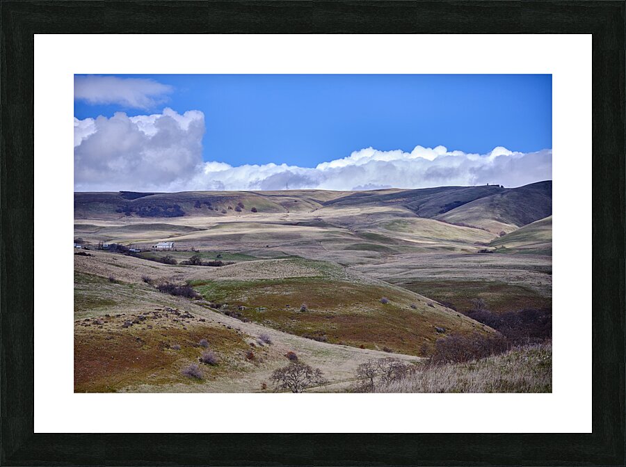 Ranchland [2] Picture Frame print