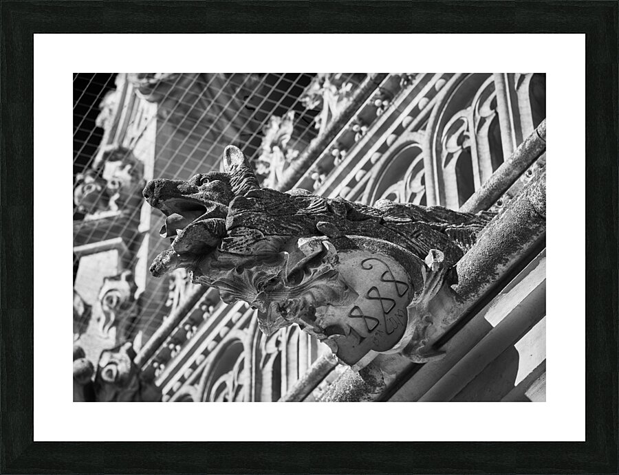 Spanish Gargoyle Picture Frame print