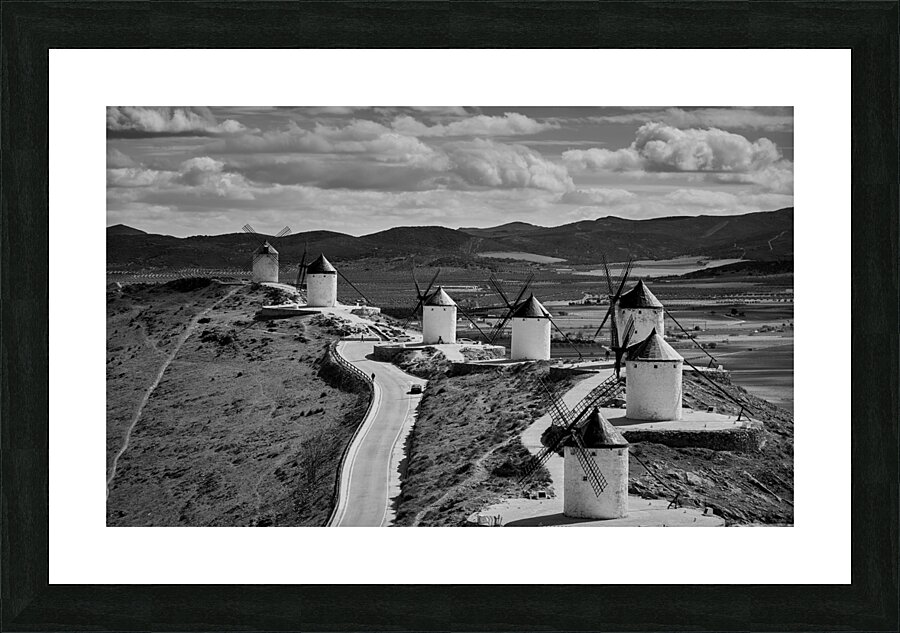 Catching the Wind Picture Frame print