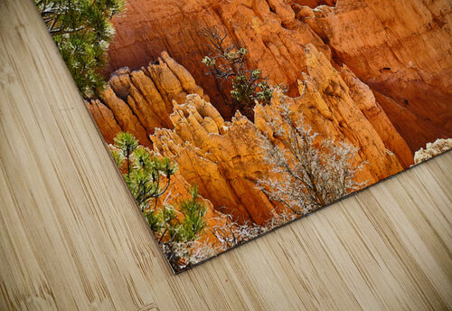 Bryce Canyon [2] Malcolm Cutchin Photography puzzle