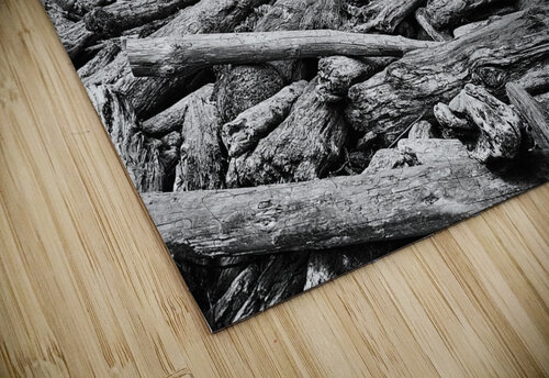 Driftwood Pileup Malcolm Cutchin Photography puzzle