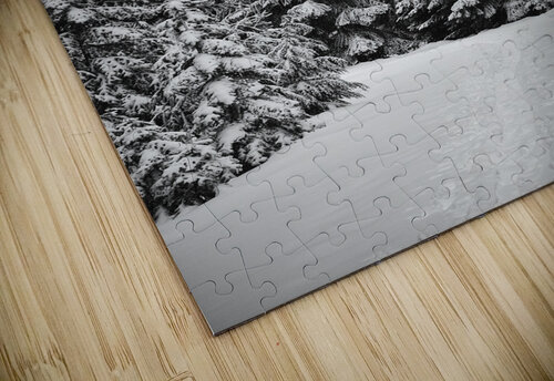 Snowshoe Trail [2] Malcolm Cutchin Photography puzzle