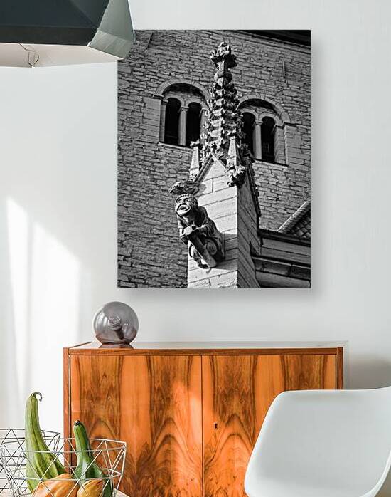 Visby Gargoyle by Malcolm Cutchin Photography