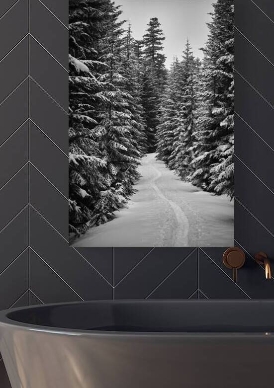 Snowshoe Trail [1] by Malcolm Cutchin Photography