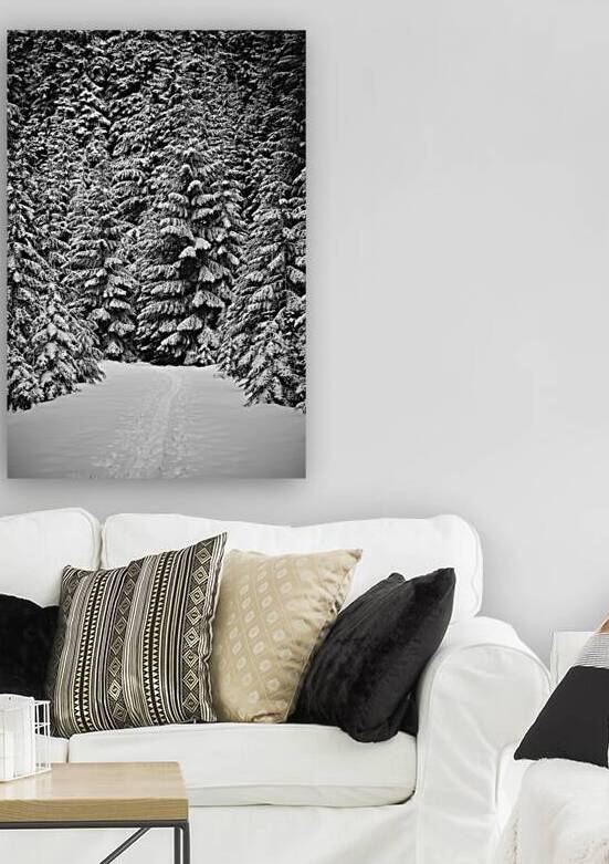 Snowshoe Trail [2] by Malcolm Cutchin Photography