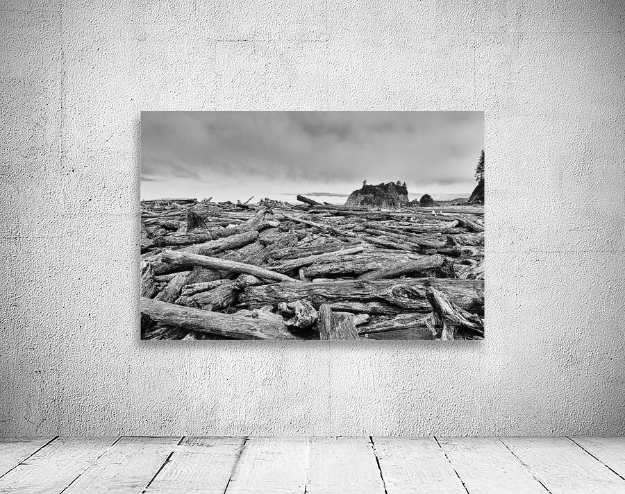 Driftwood Pileup Wall Preview