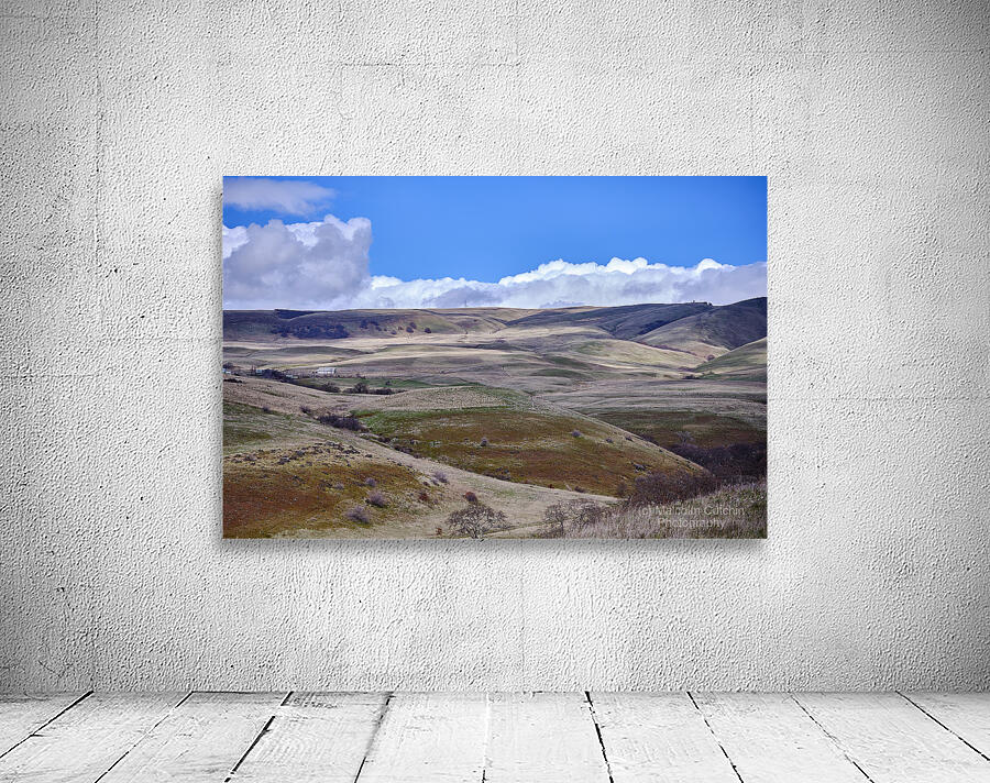 Ranchland [2] Wall Preview