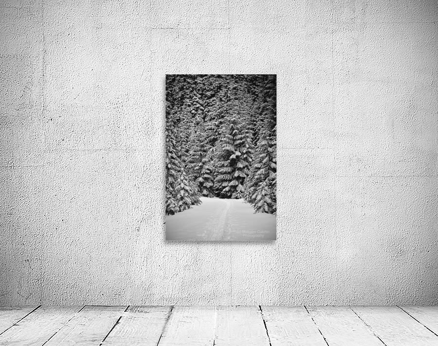 Snowshoe Trail [2] Wall Preview