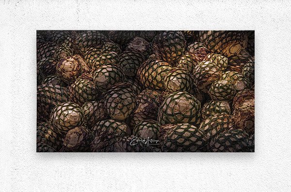 Agave hearts by Eduardo Arteaga Wall Art