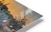 Blue Agave HD Metal print