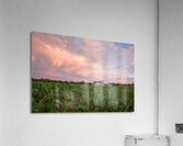 Sunshine blues Impression acrylique