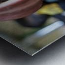 Beatrice Metal print