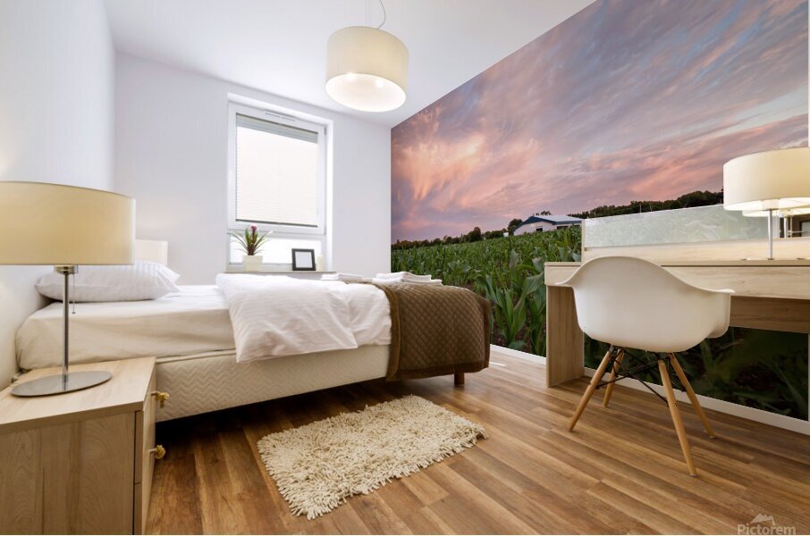 Sunshine blues Impression murale