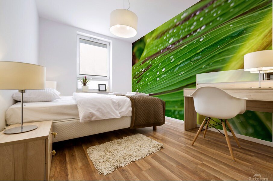 Gouttelettes Mural print