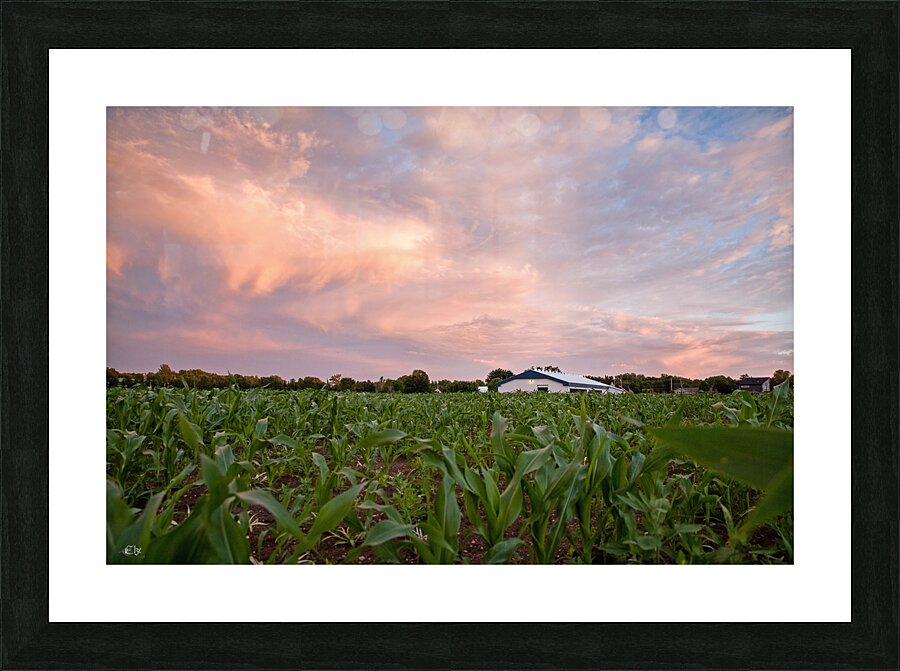 Sunshine blues Impression et Cadre photo