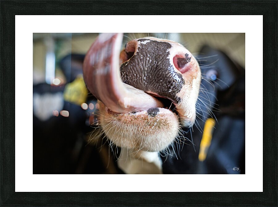 Beatrice Picture Frame print