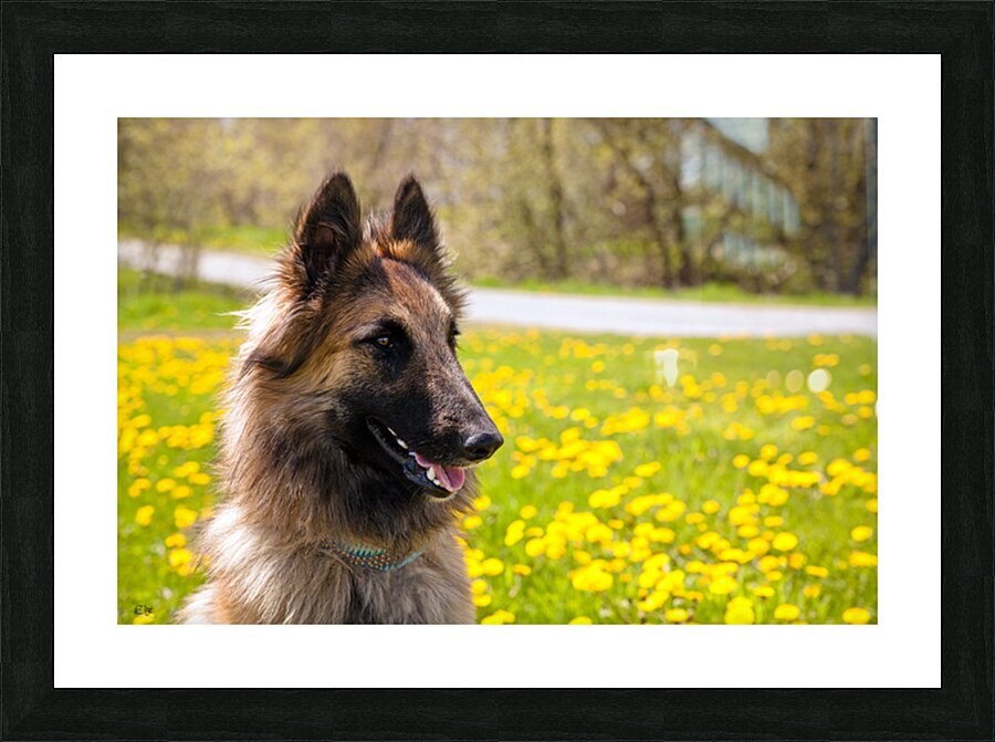 Athena Picture Frame print