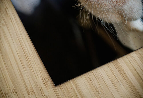 Beatrice Elze Photographie puzzle