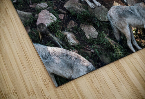La meute Elze Photographie puzzle