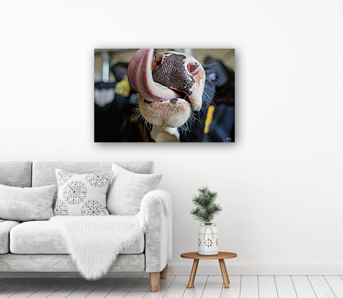 Beatrice Reproduction