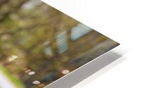 Athena HD Metal print