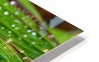 Gouttelettes HD Metal print