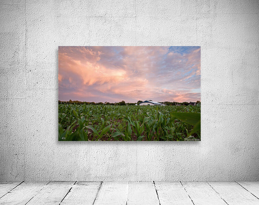 Sunshine blues Aperçu sur mur