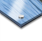 Sea Catch 1 Acrylic print