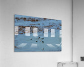 flock  Acrylic Print