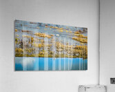 submerged Acrylic Print