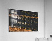 Surface landing edited Acrylic Print