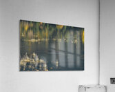 Mid row 2 Acrylic Print