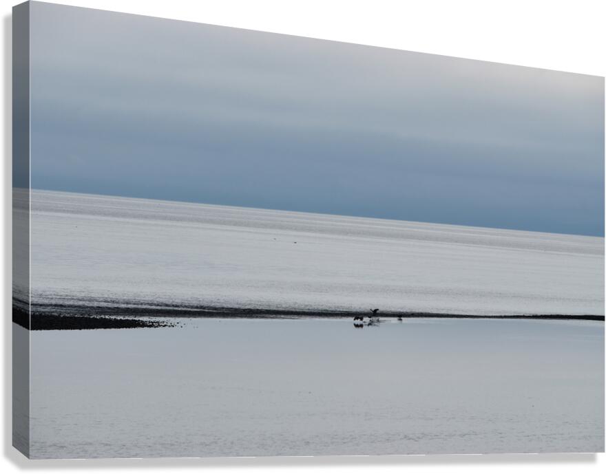 The Calm 1 Canvas Print
